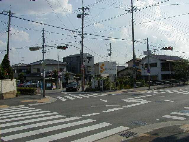 img0045.jpg